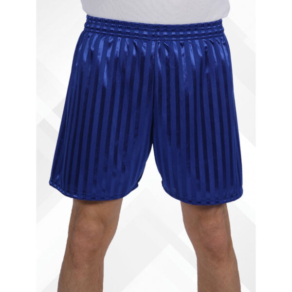 Shadow Stripe PE Shorts Thumbnail