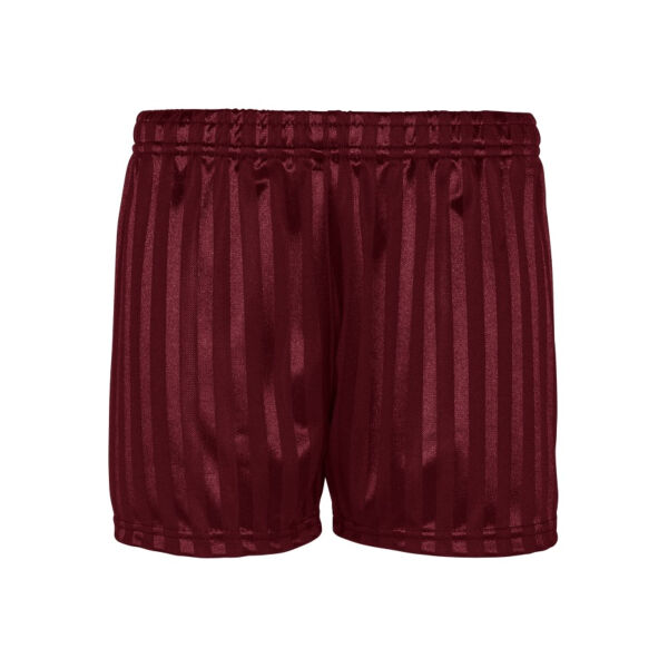 Hamstel Infant PE Shorts  Thumbnail
